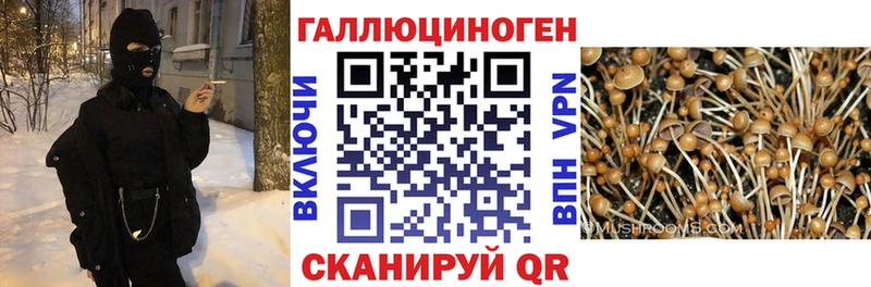 мориарти наркотические препараты Коркино Псилоцибиновые грибы Psilocybine cubensis купить наркотики цена